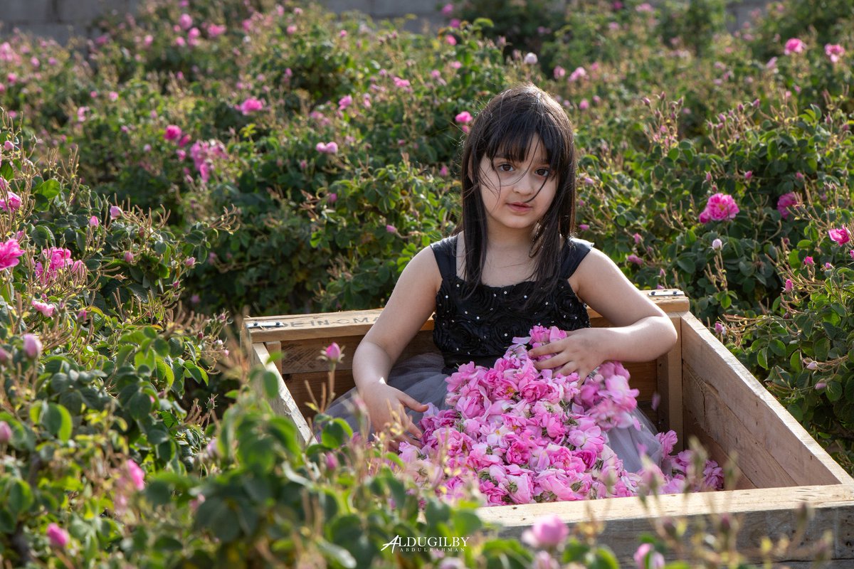 Made In Saudi tweet media