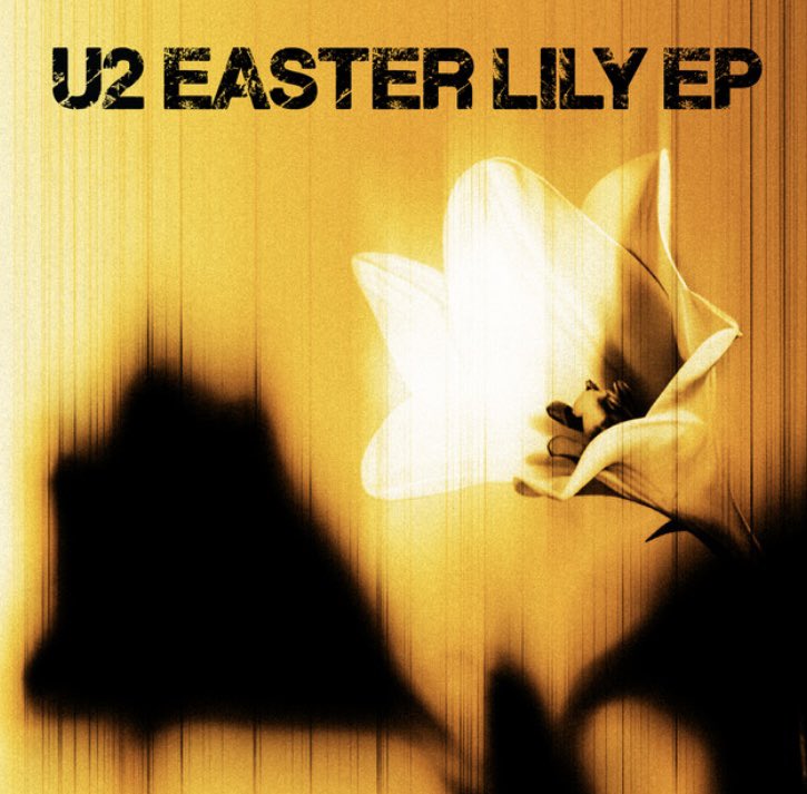 Paul Healy tweet media