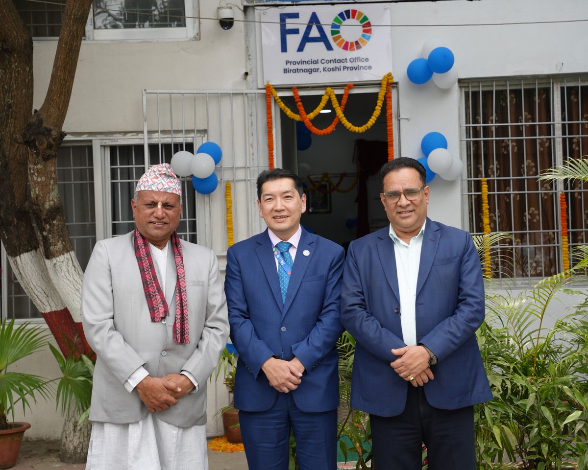 FAONepal's tweet photo. FAO Nepal has expanded its provincial footprint with the opening of a contact office in Koshi Province - bringing our work closer to communities and partners to advance inclusive, climate‑resilient and sustainable agrifood systems.
#FAONepal #FAOInKoshi https://t.co/EhUgN4lS4U