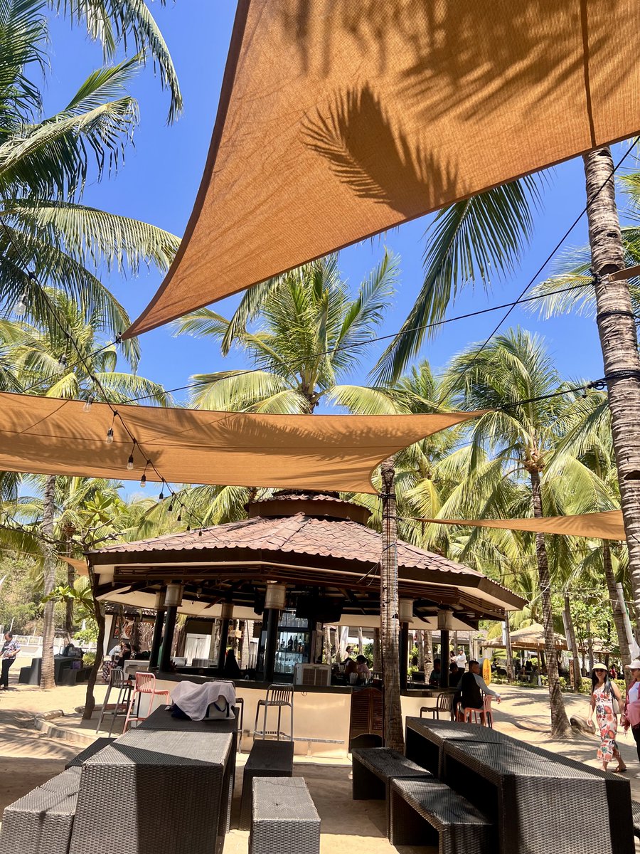 Royce, CPA tweet media