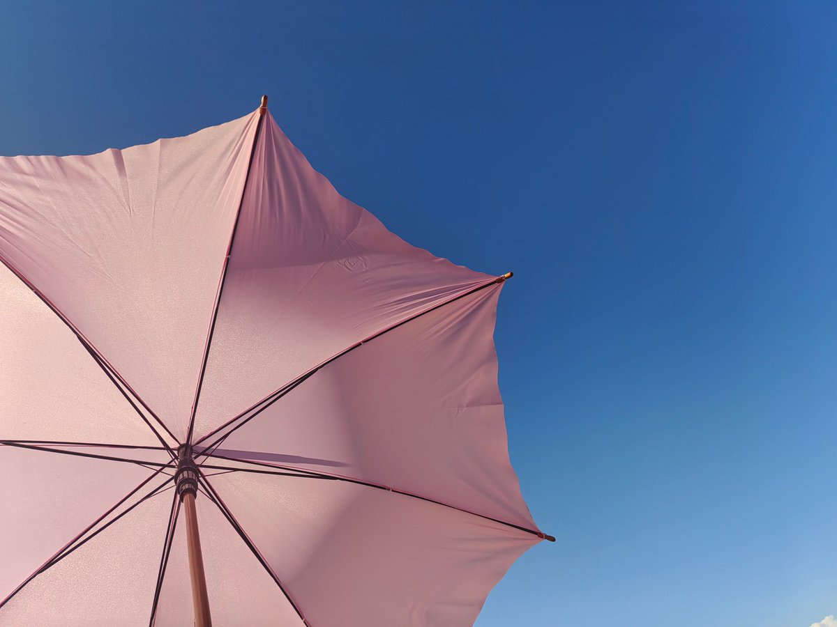 it's by deesign tweet media