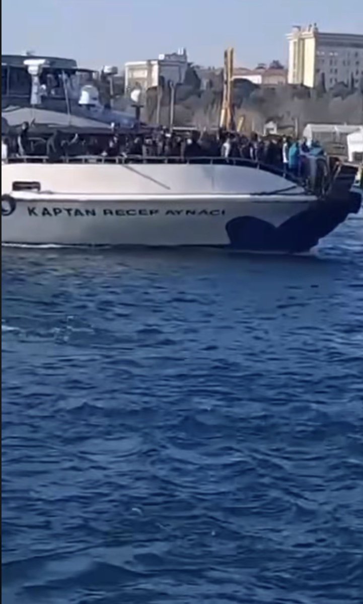 WHITE WALL tweet media