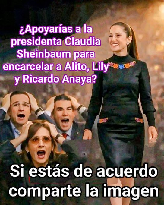 Estela Díaz tweet media