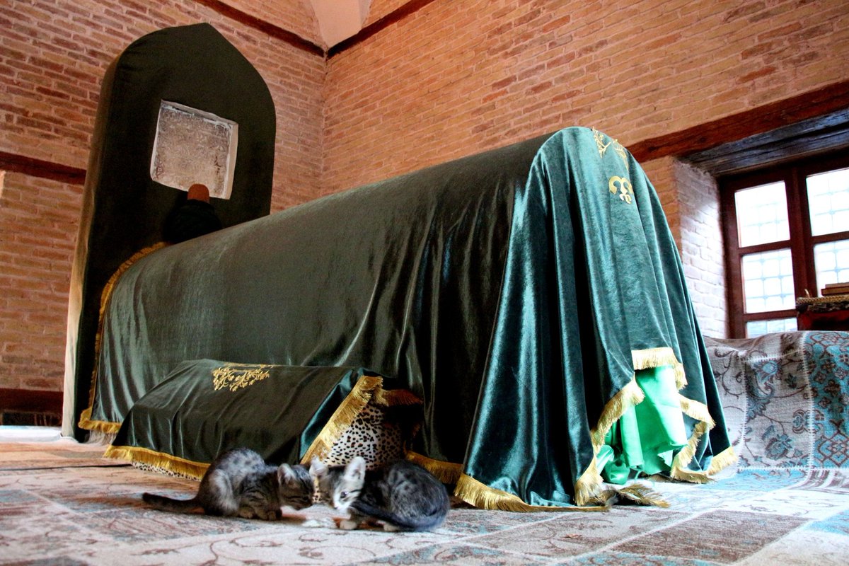 MENA Visuals tweet media