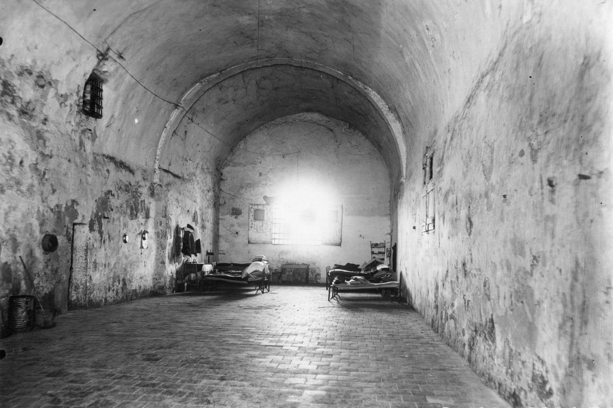 Setmanari Dillums tweet media