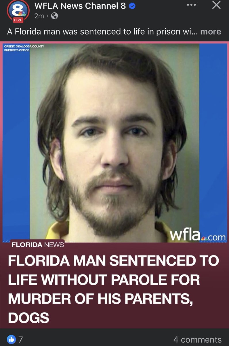 Tdbfoolie tweet media