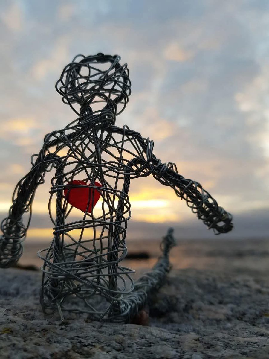 Cemal Can tweet media