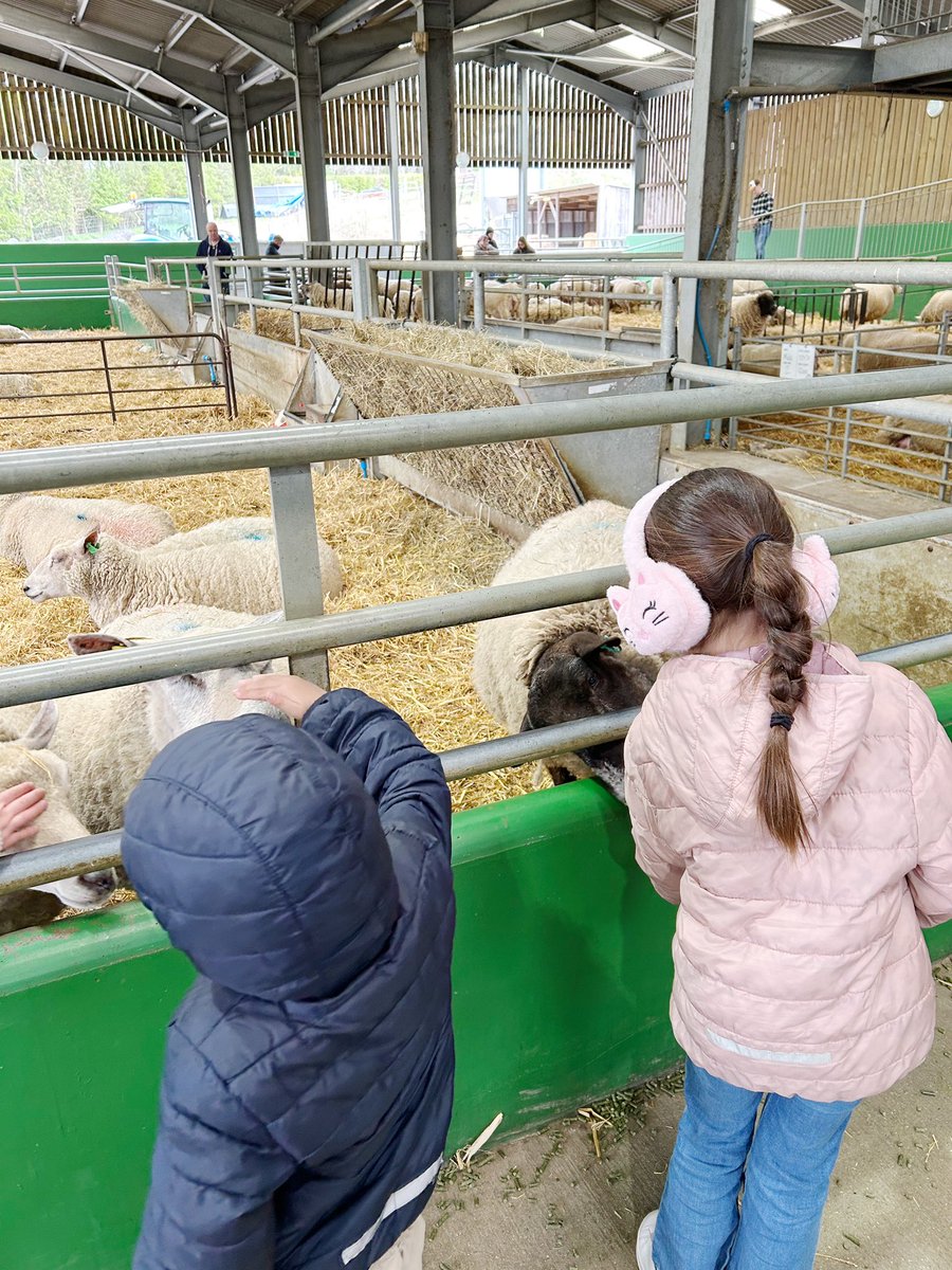 lorelei marfil day tweet media