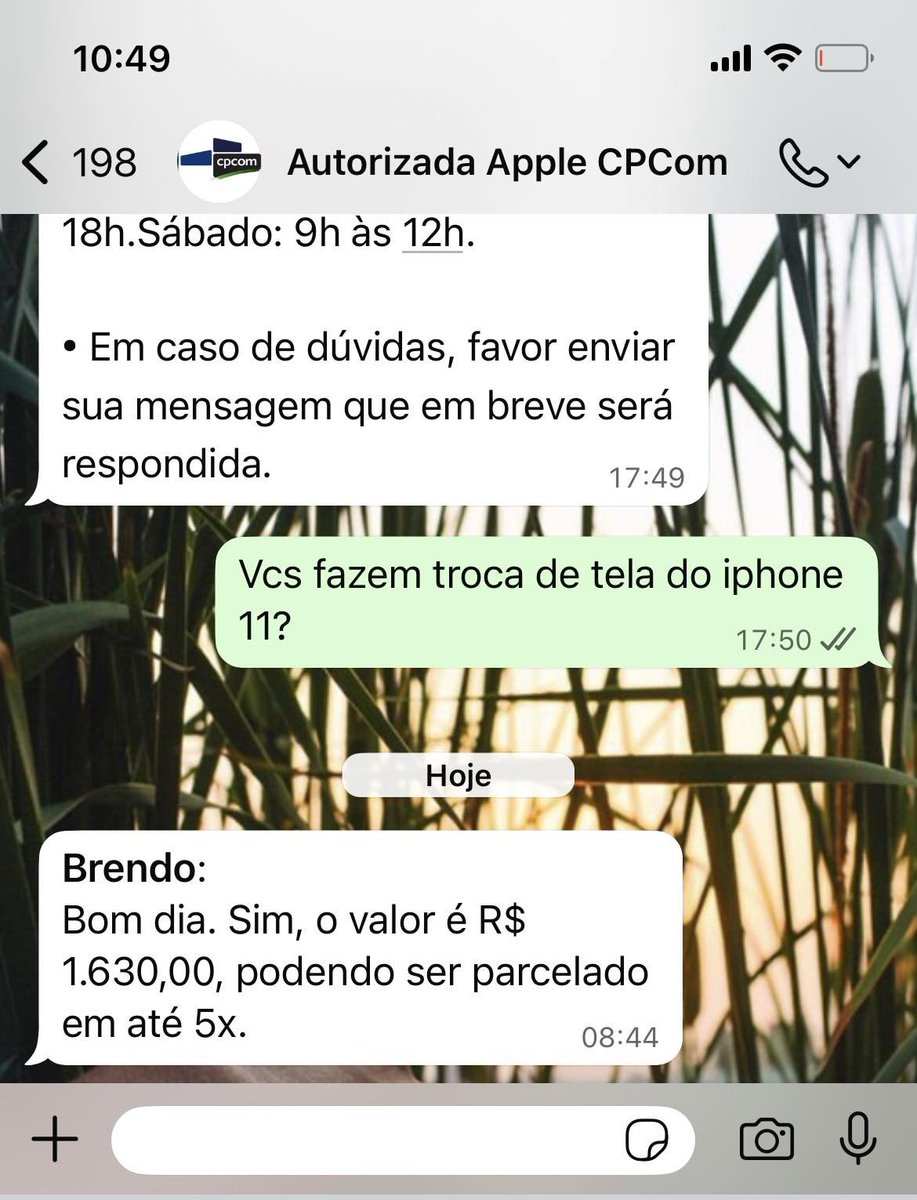 O Pinto Marcando ® tweet media