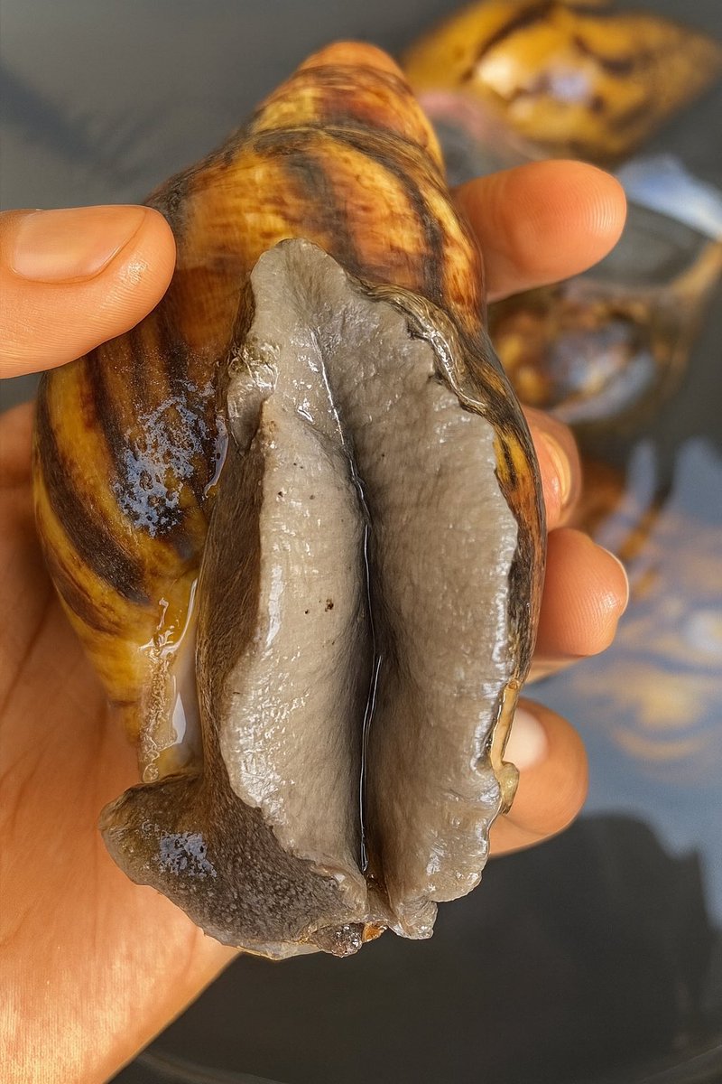 Vpking102 🦅🥰 tweet media