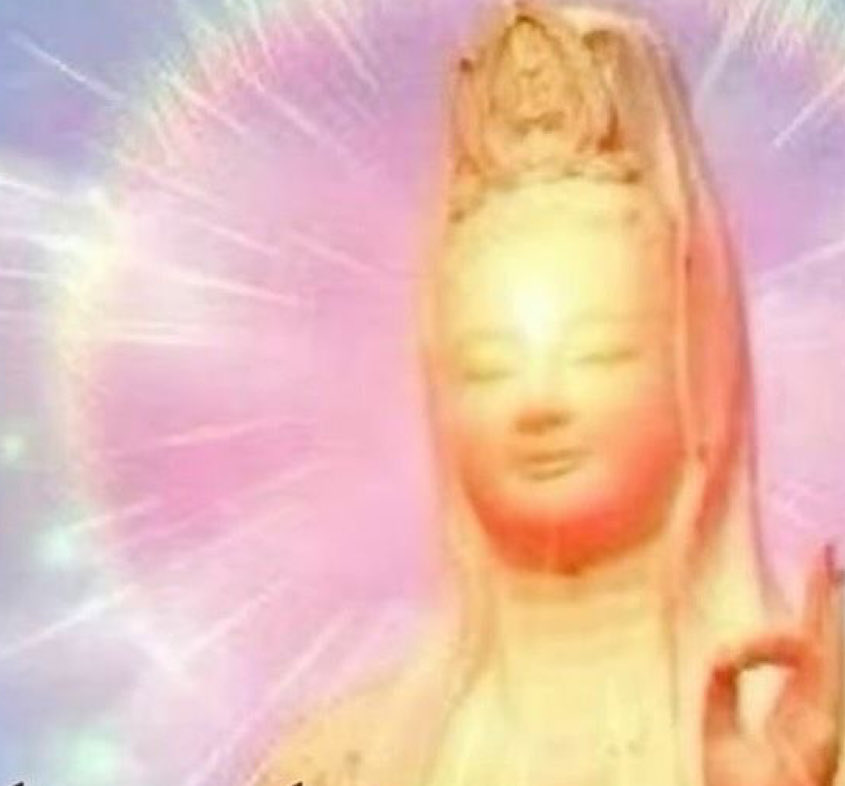 plüb ☆☆ tweet media