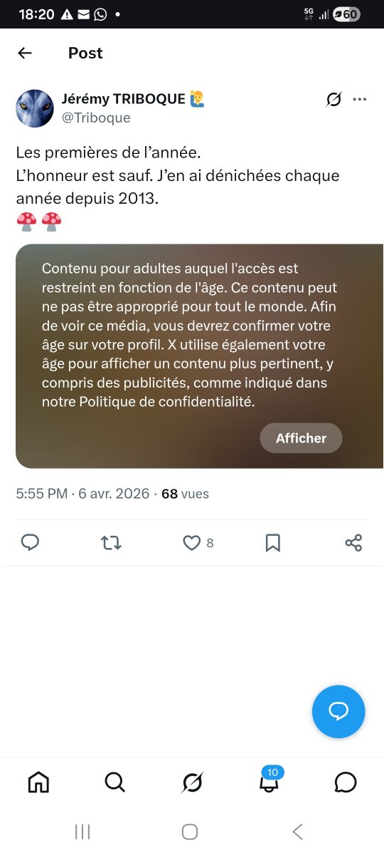 Taaaaataaaaa tweet media