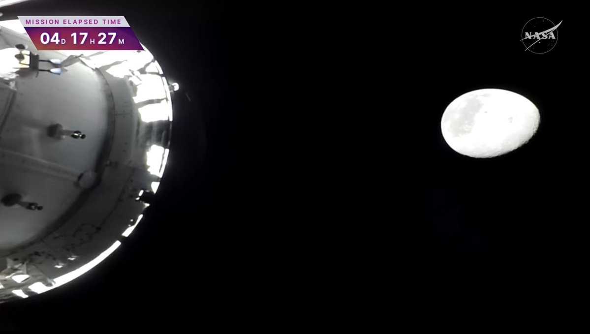 Tuva Cihangir Atasever tweet media