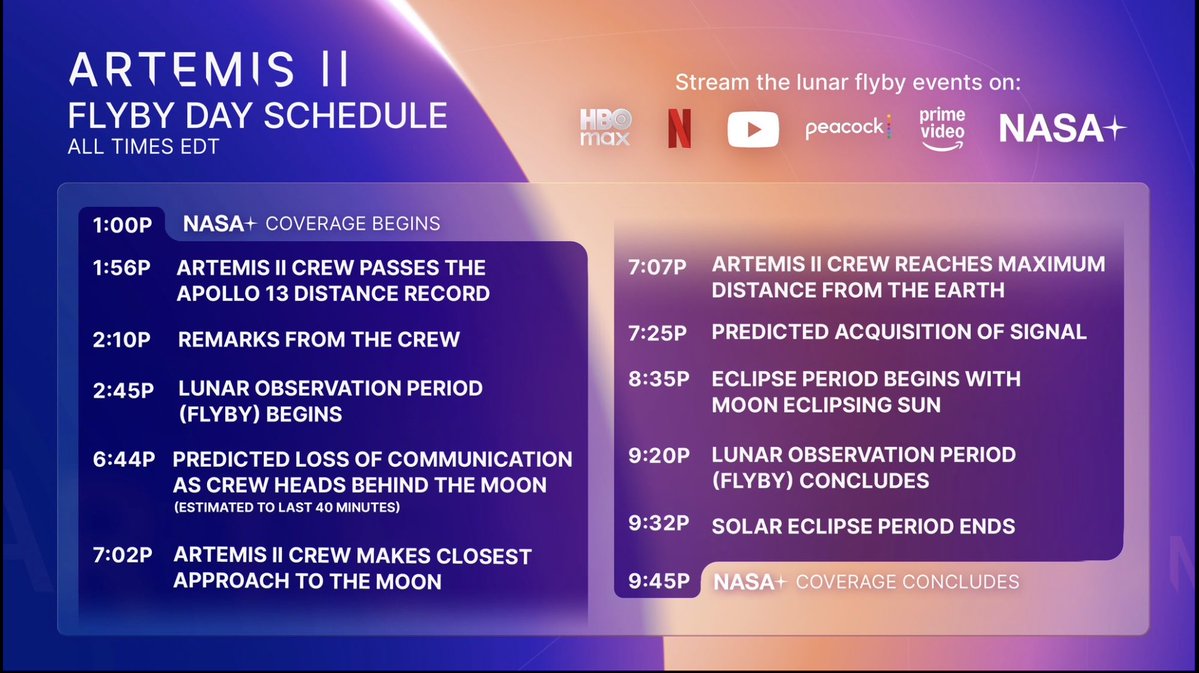 Tuva Cihangir Atasever tweet media