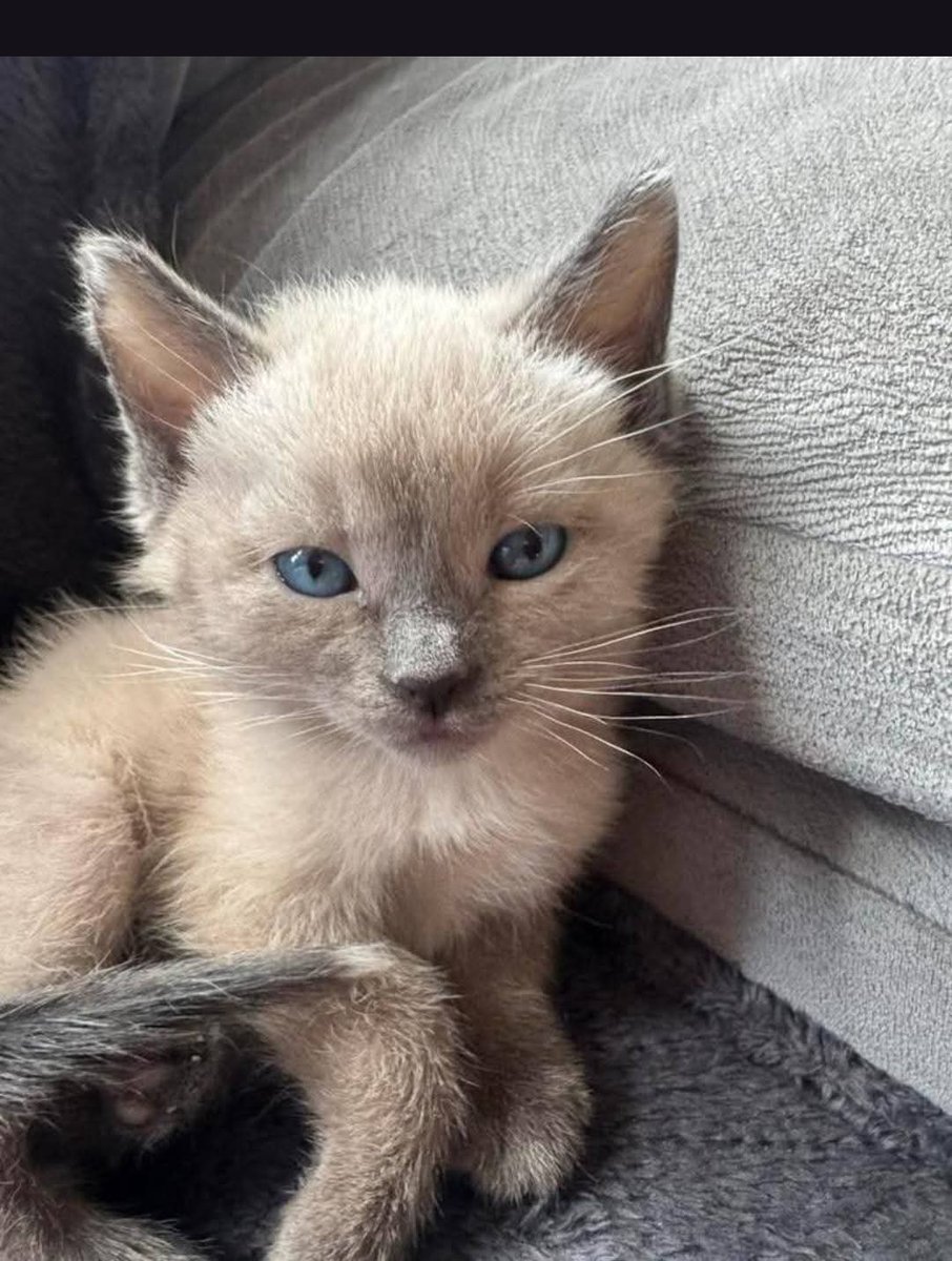 Mary 🕊️ tweet media