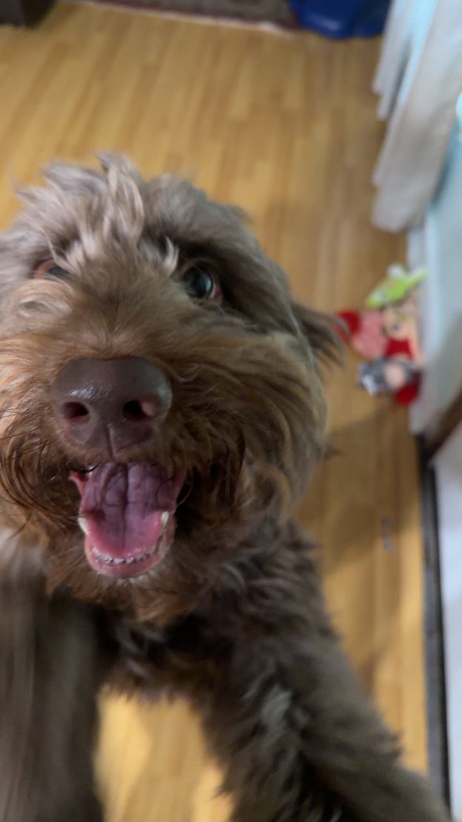 Watrmelonn tweet media