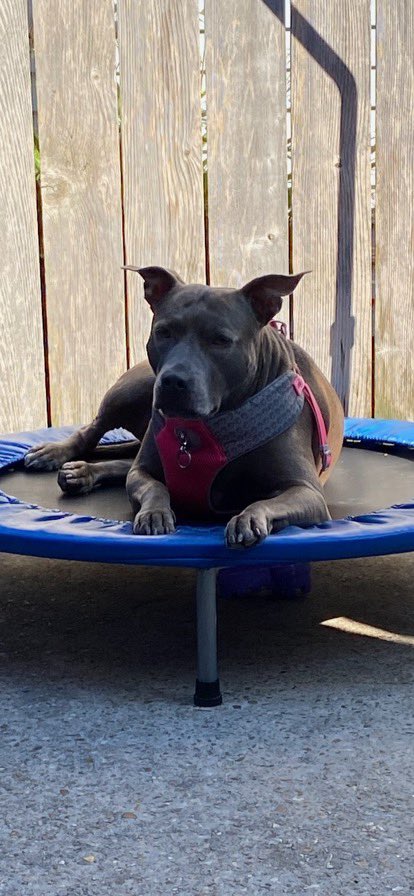 Watrmelonn tweet media