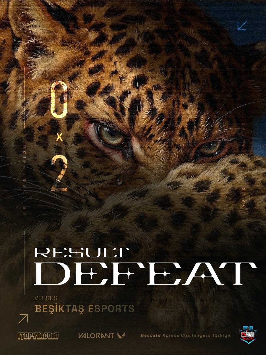 Bushido Wildcats tweet media