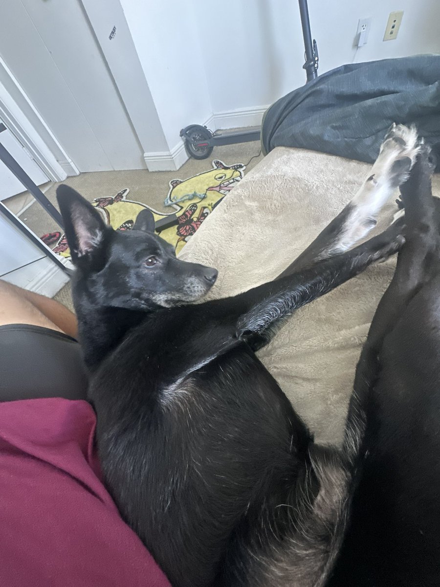 Million Dollar Pípe tweet media