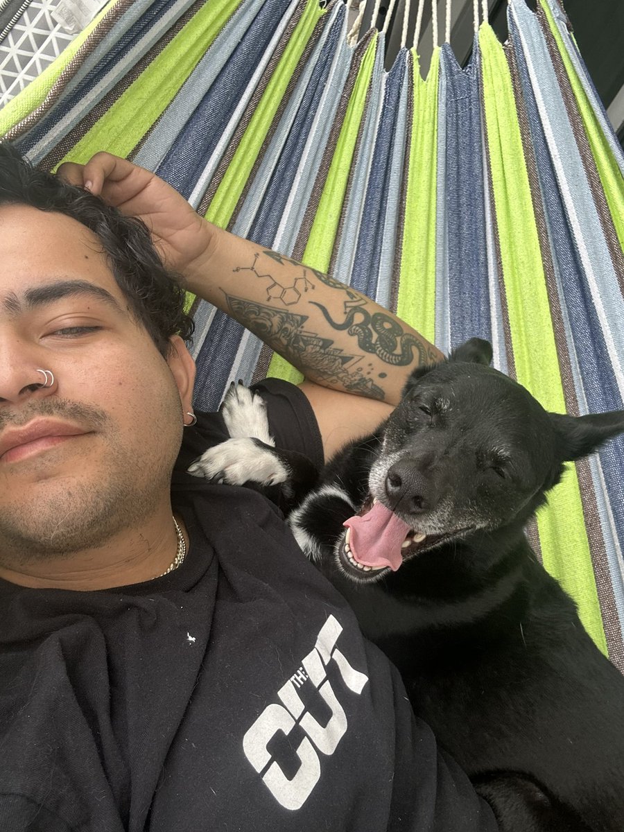 Million Dollar Pípe tweet media