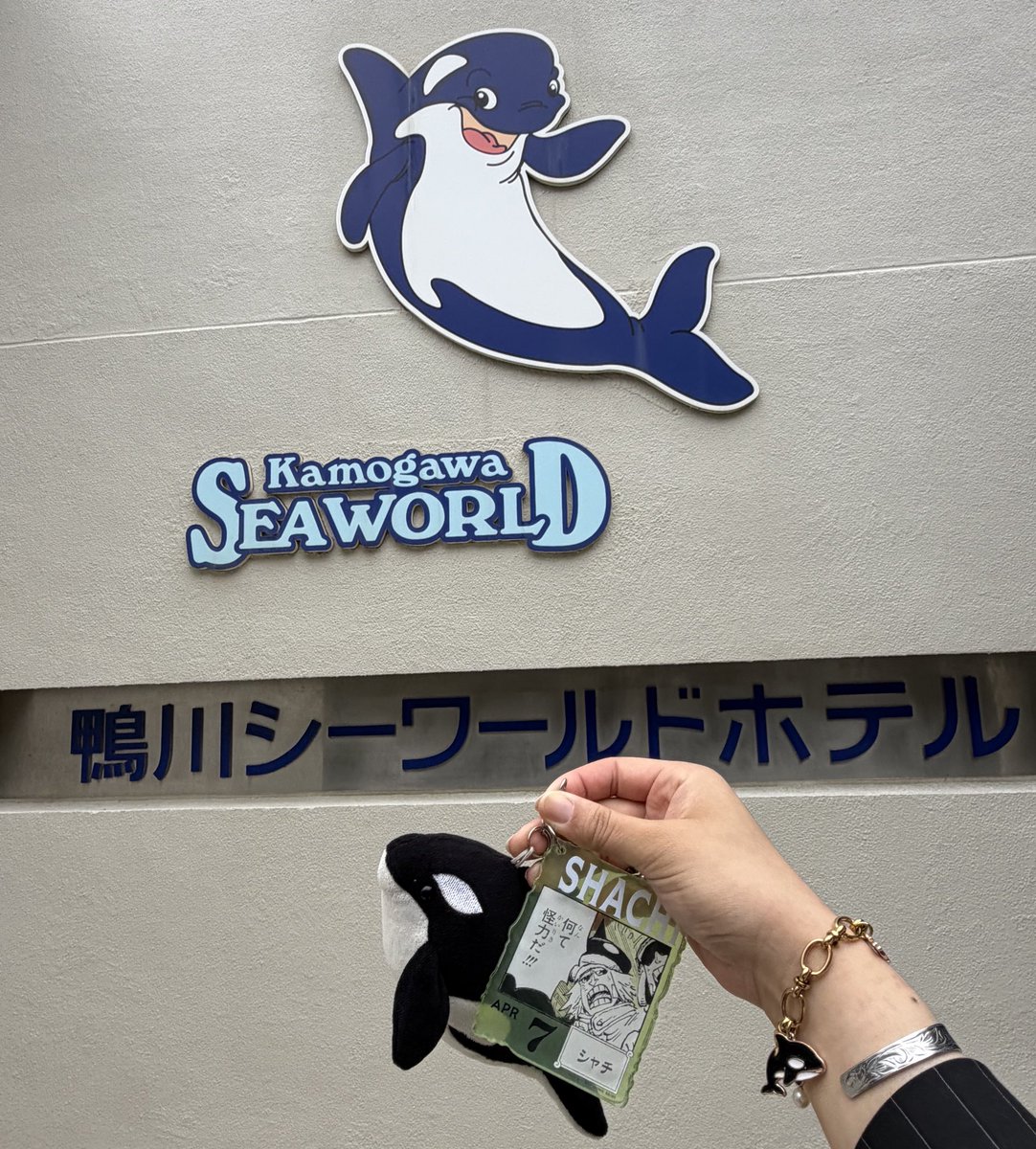 YUME_YUME0P's tweet photo. 今年も貴方の誕生日を祝えて嬉しい気持ちでいっぱいです! 💛🏴‍☠️からどんな🎁貰えるか楽しみだね! 今年も貴方が大大大好きだよ……😭♡ https://t.co/6F1uVbJ2jY