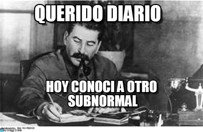 Mosquitos Molestos tweet media