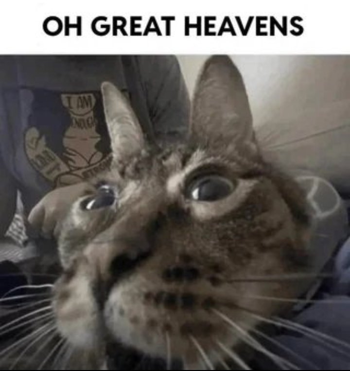 🌿🔥 ZazaHawk🌿🔥pre-debut tweet media