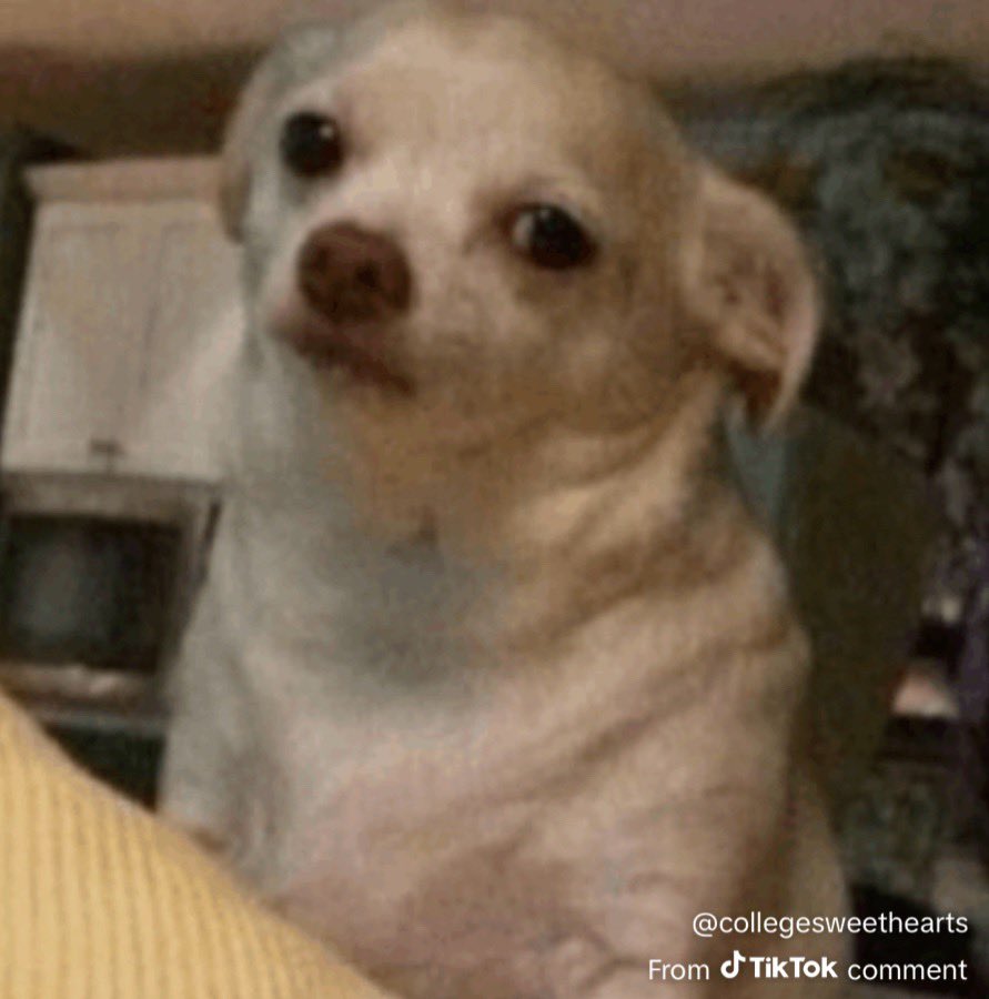 the DOW is down 50000 tweet media