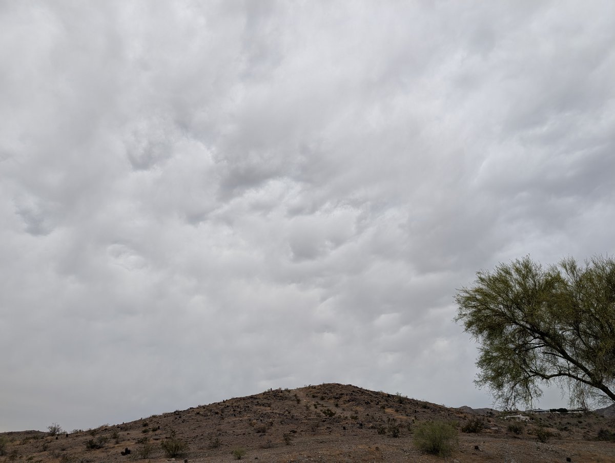 John Henz tweet media