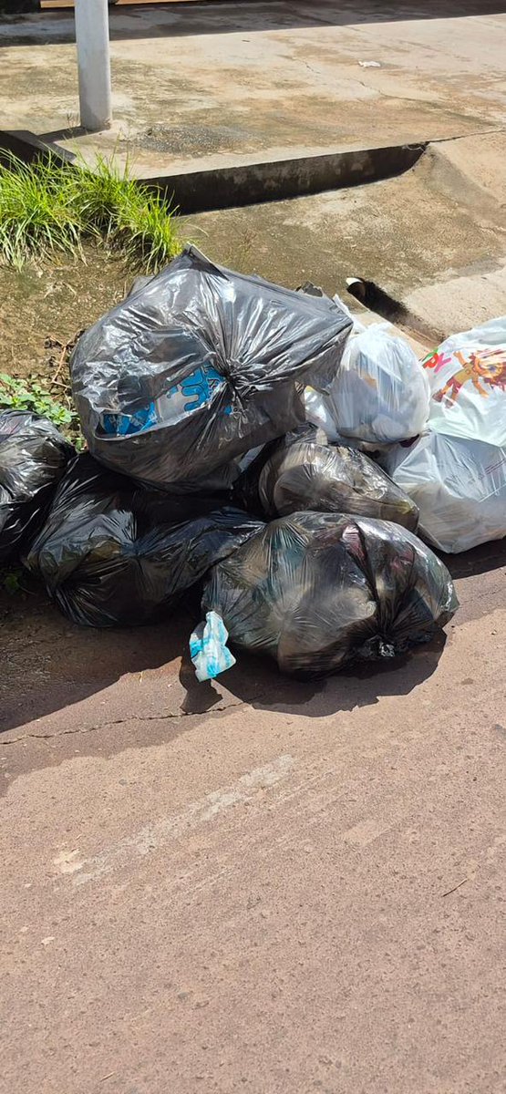 Fabuloso 🇧🇷 tweet media