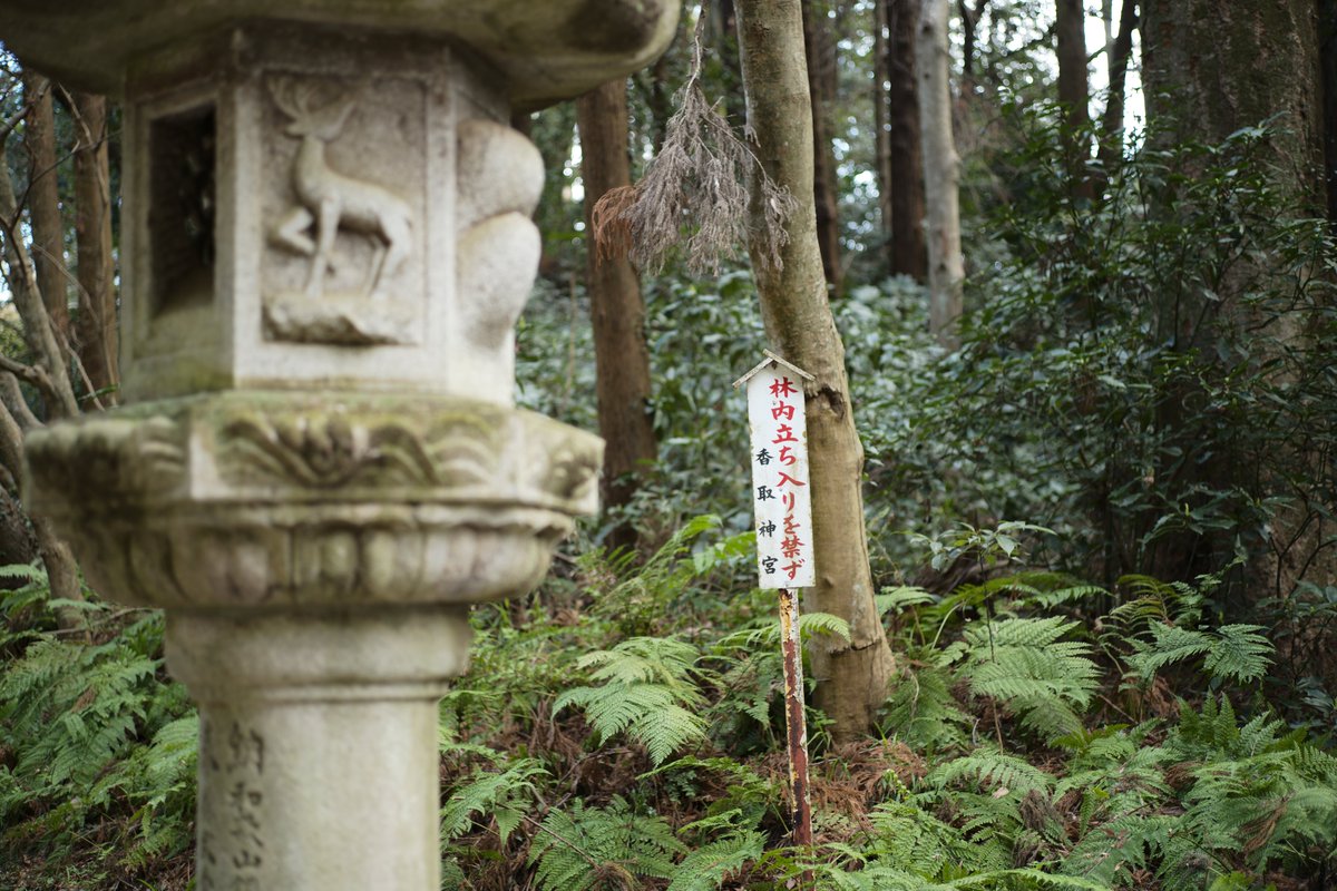 Outei_zuiraku's tweet photo. LEICA M10
SUMMICRON-M 1:2/50mm 4th

入ろうとは一ミリも思いませんでしたが、入ろうとする人もいるんでしょうね。

千葉県香取神宮
#写真好きな人と繫がりたい #photograph #スナップ https://t.co/7USORrbV0U