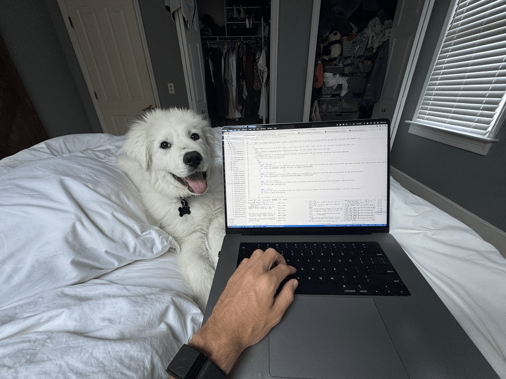 Starter Story tweet media