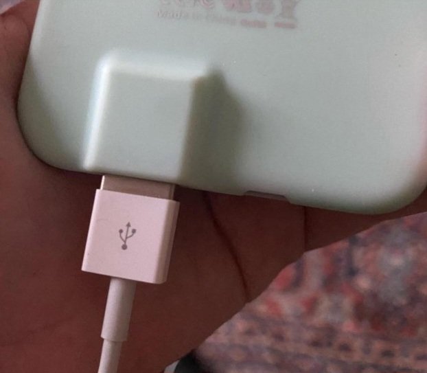 Mina Fauna tweet media