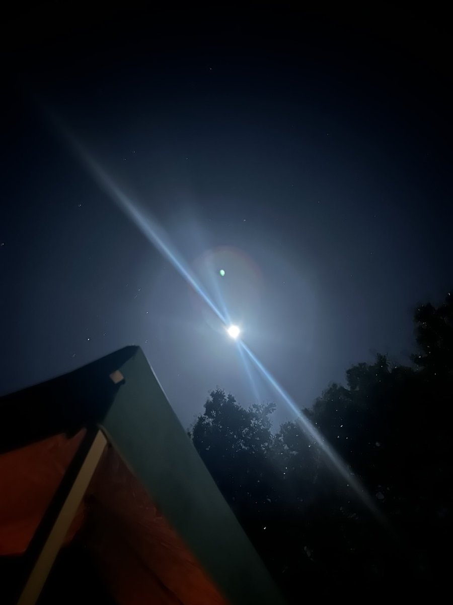 arihas11's tweet photo. Con la luz de la luna 🌕⛺️ https://t.co/41koFMglWa