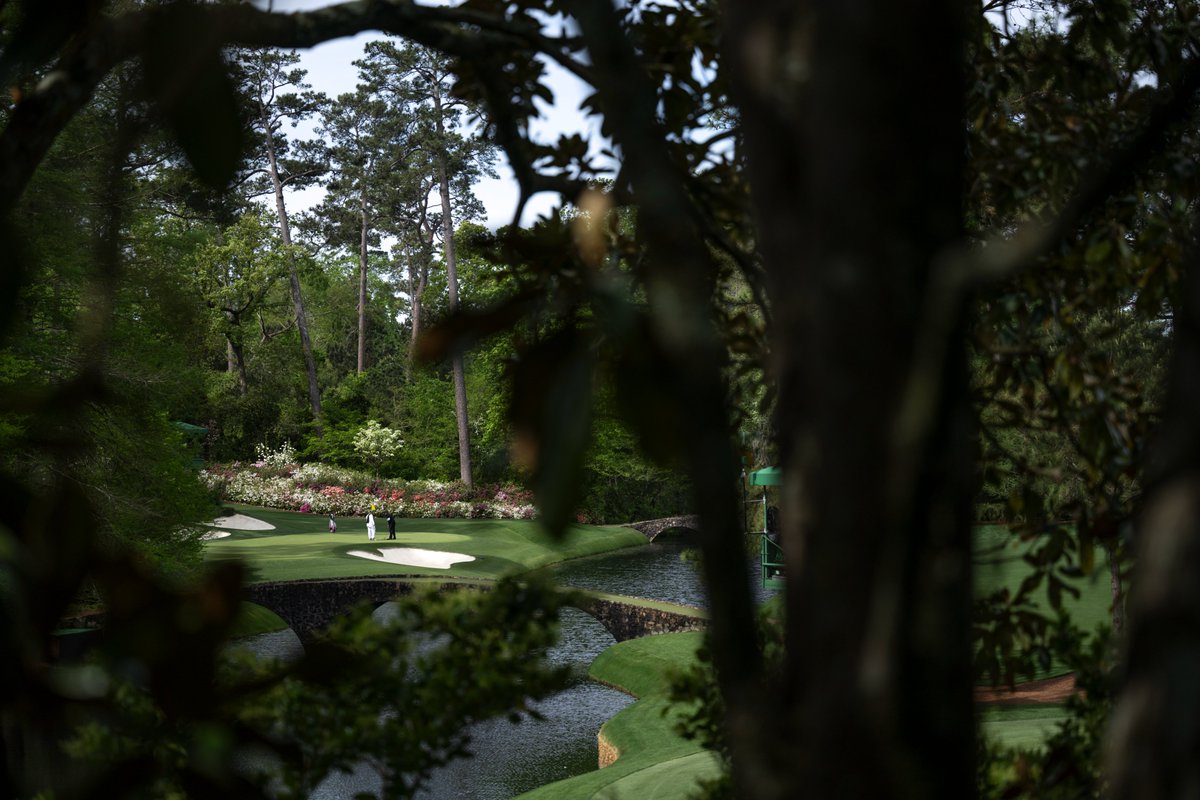 The Masters tweet media