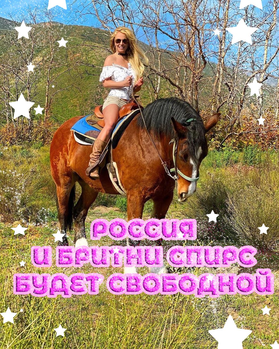 go sip girl tweet media