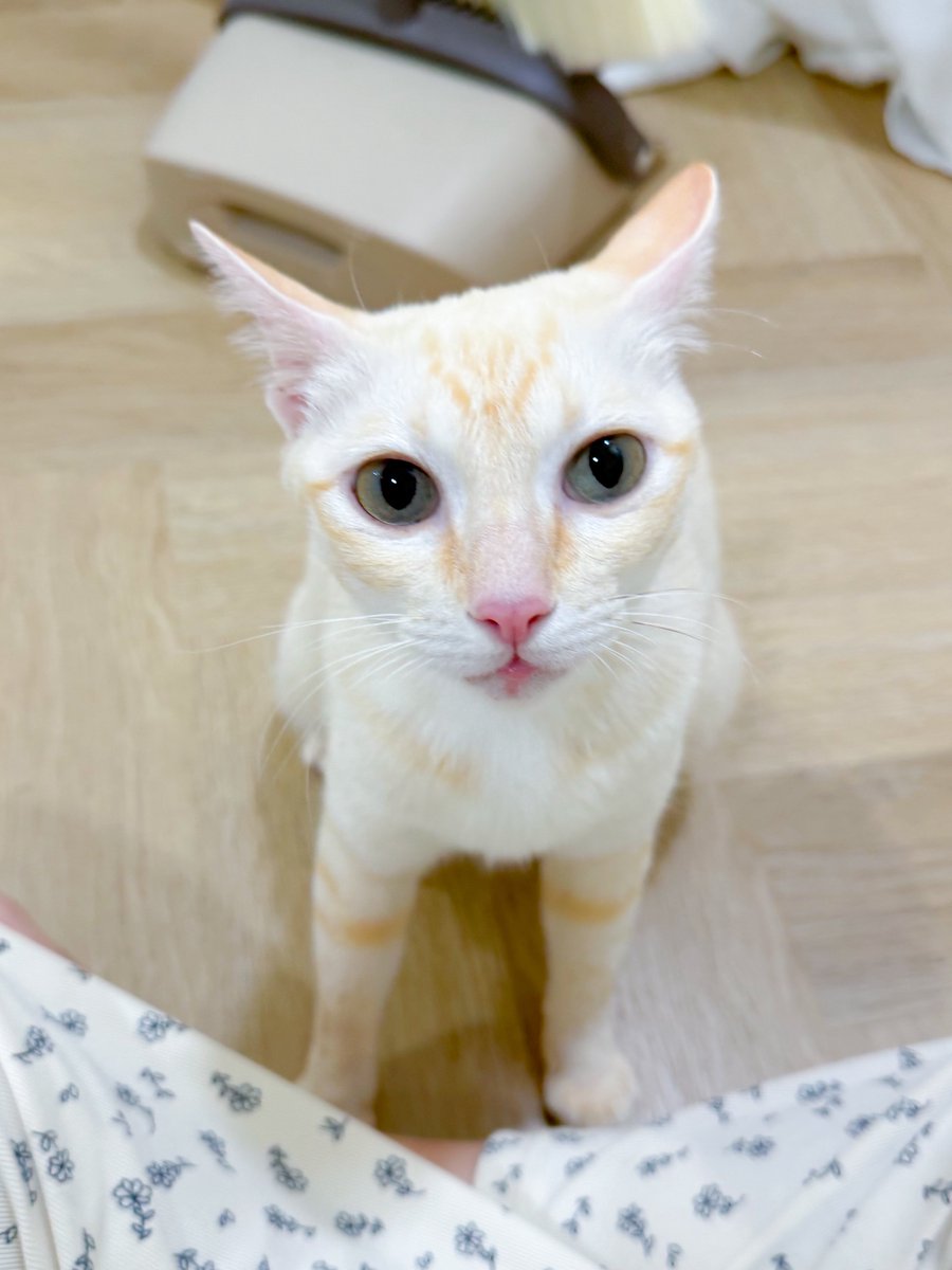 DNVP 💋 (Malonfamily) tweet media