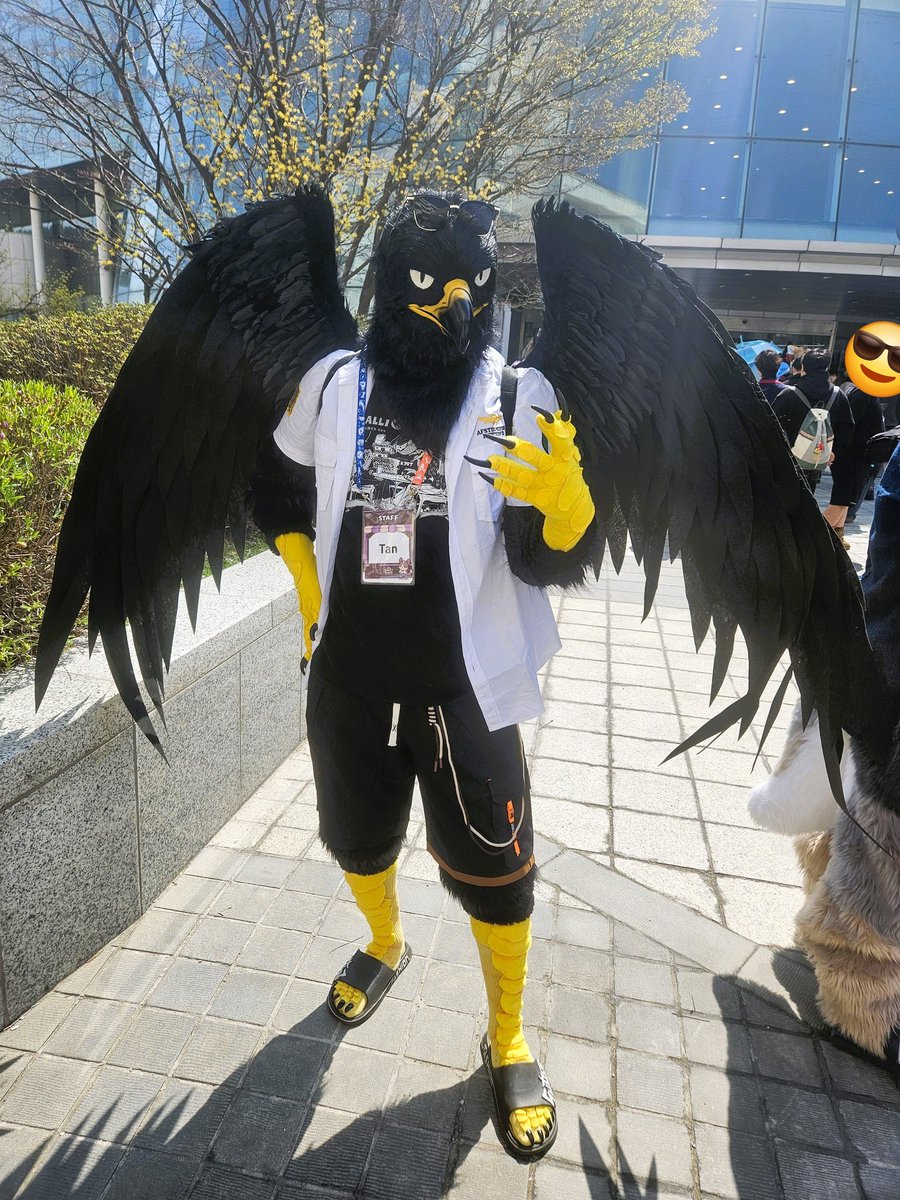 이누🐾 tweet media