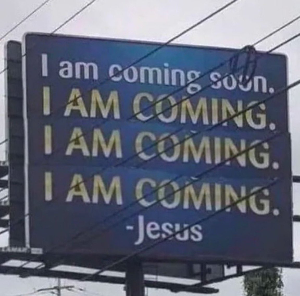 Tiffany Fong tweet media