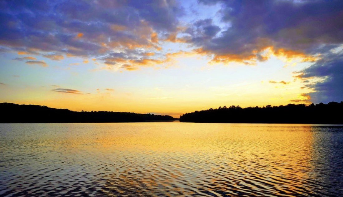 GBP Daily - Rob Westerman lll tweet media