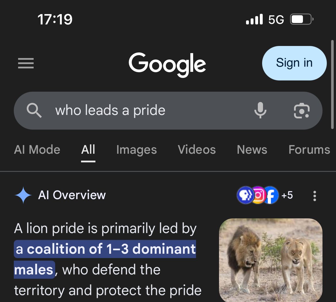 DeeTo 🪴 tweet media