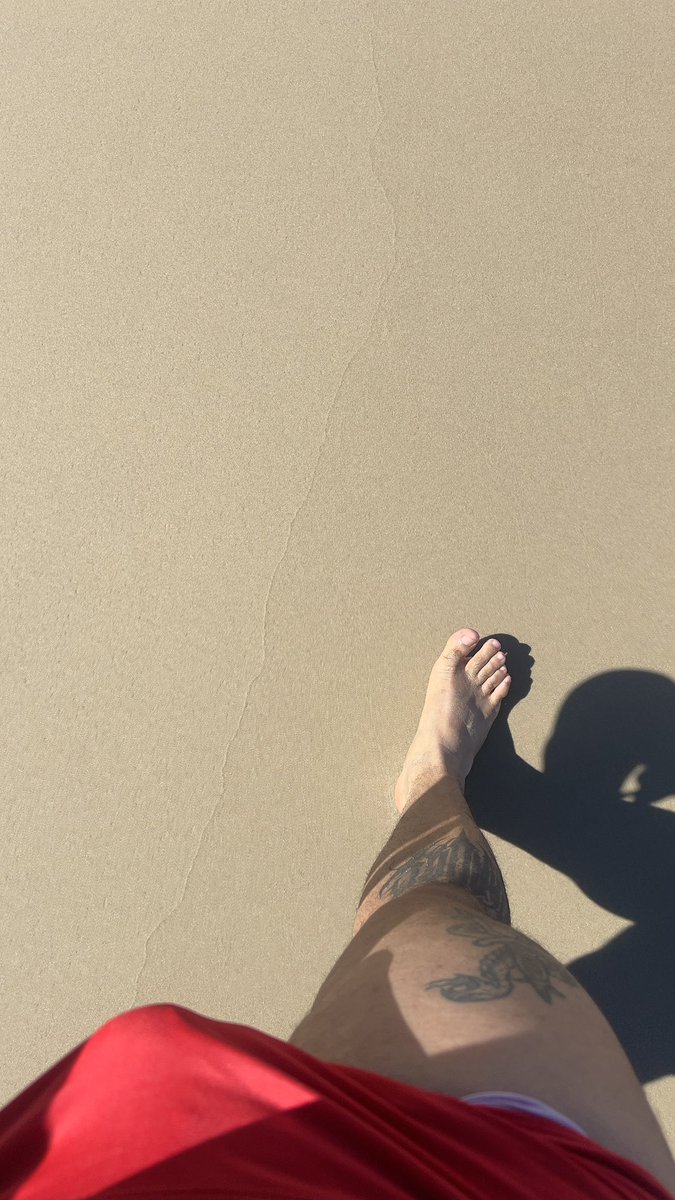 Papacito tweet media