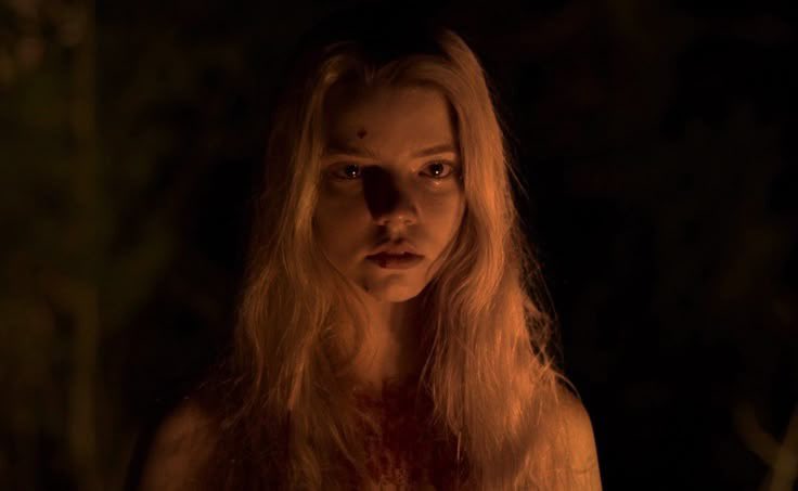 m ˚⟡˖ ࣪ tweet media