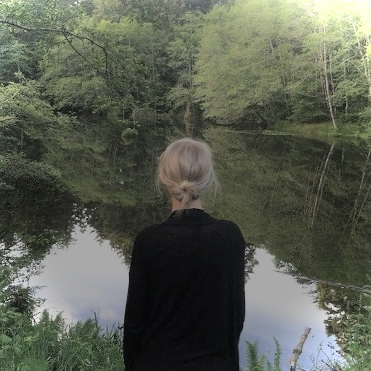 koda 🕷️🛢️ tweet media