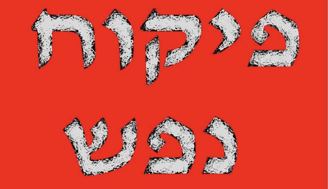 Magi Magi tweet media