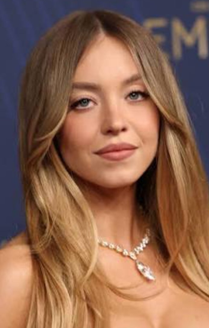 the nolano tweet media