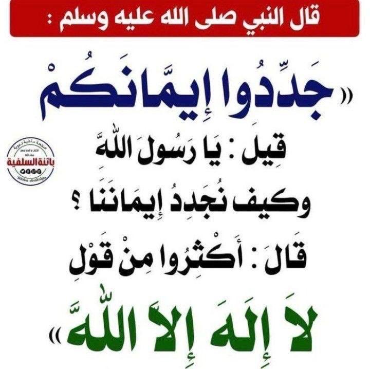 لمياء الخضر tweet media