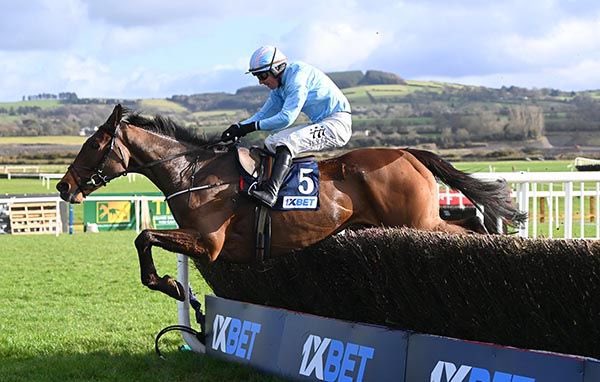 Gavin Lynch tweet media