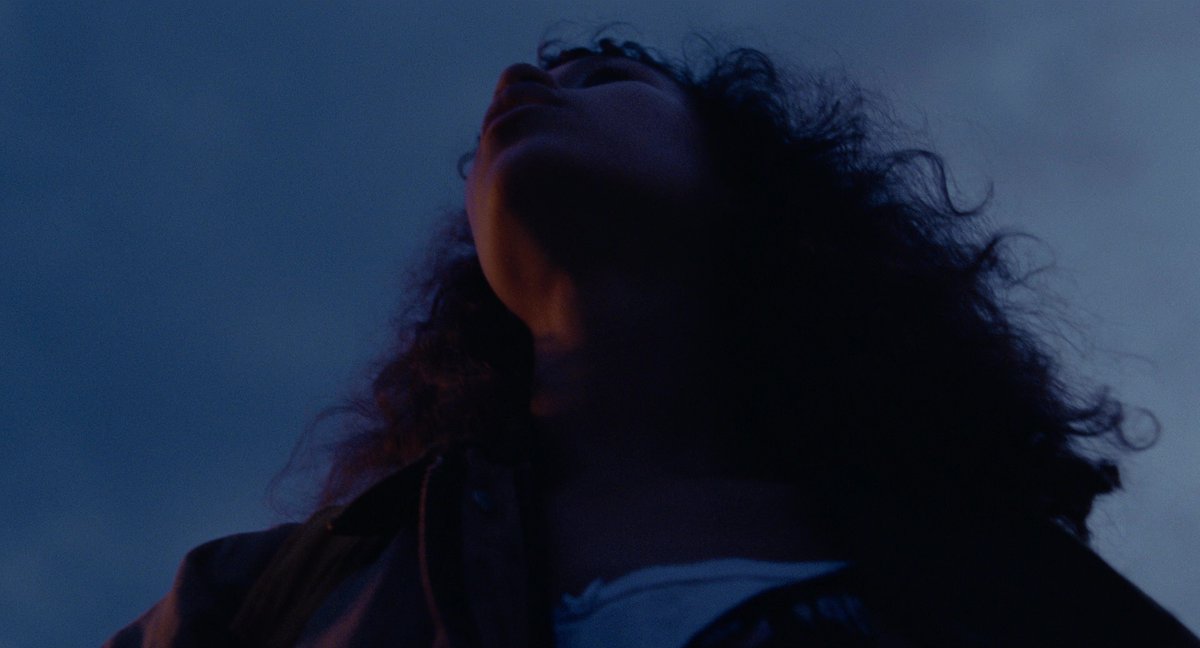 FilmFrame tweet media