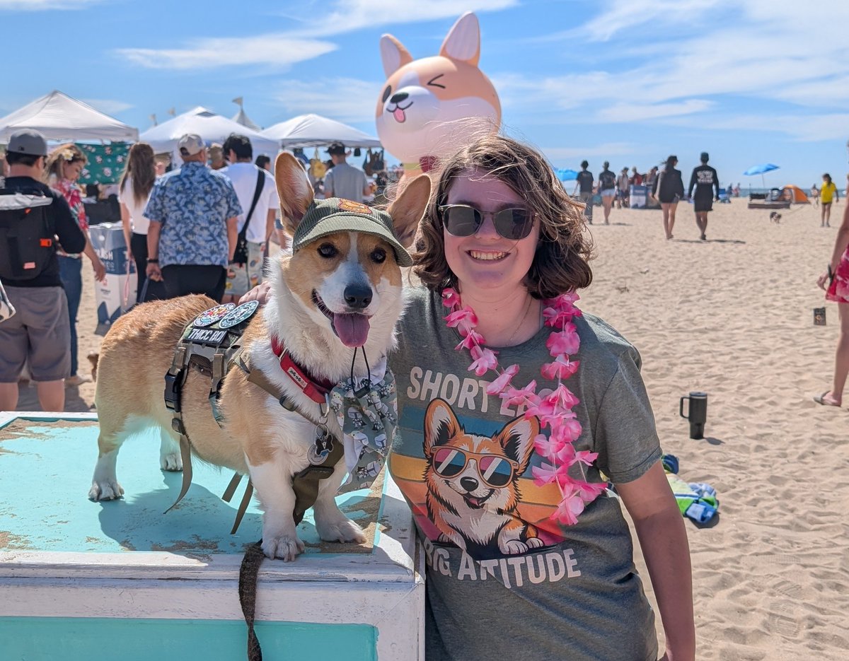 Captain Wardog 🍪 tweet media